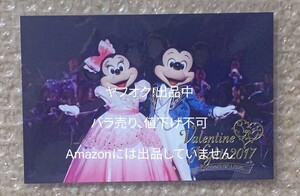 ディズニーシー TDS ミッキー ミニー 実写 バレンタインナイト ポストカード 