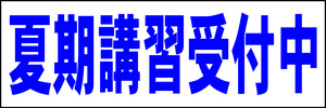 シンプル横型看板「夏期講習受付中(青)」【スクール・教室・塾】屋外可