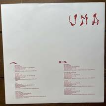 JAI UMA vinyl Eclipse Colour レコード_画像3