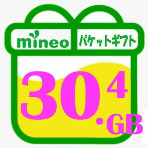 30.4GB マイネオ mineo パケットギフト・送無の画像1