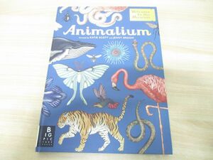 ▲01)【同梱不可】Animalium/Welcome to the Museum/Jenny Broom/Templar/2014年発行/洋書/動物たち/博物館へようこそ/A