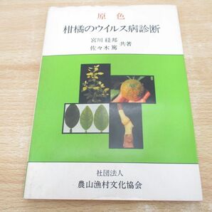 ●01)【同梱不可】原色 柑橘のウイルス病診断/宮川経邦/佐々木篤/農山漁村文化協会/昭和52年/Aの画像1