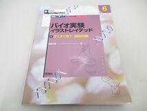 ●01)【同梱不可】バイオ実験イラストレイテッド/6 すくすく育て細胞培養/細胞工学別冊/目で見る実験ノートシリーズ/渡邊利雄/秀潤社/A_画像1