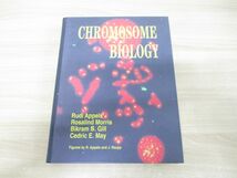 ▲01)【同梱不可】Chromosome Biology/Rudi Appels/KAP/1998年発行/染色体生物学/洋書/A_画像1