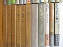 ■01)【同梱不可】小説・エッセイなど文学単行本まとめ売り約35冊大量セット/文芸/山田詠美/清岡卓行/古井由吉/歳月/チボー家の人々/A_画像4