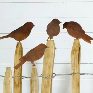 ガーデン彫刻　錆る小鳥　４点セット　ネジ式　メタルバード　HANAKO　鳥の雑貨　ガーデンオブジュ