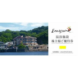 江の島アイランドスパ★飯田グループホールディングス ★株主優待券★８枚セット★有効期限２０２４年６月３０日★送料無料の画像1