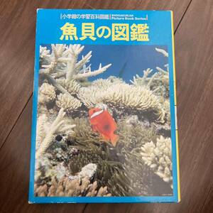 小学館　学習百科図鑑　魚介の図鑑