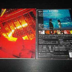 [即決有]盤面良好 DVD HELTER-SKELTER ヘルタースケルター 沢尻エリカ 蜷川実花 窪塚洋介 の画像2