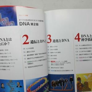 L2■Newton 別冊 （ニュートン） 2012年2月 【特集】DNA 第2版◆の画像5