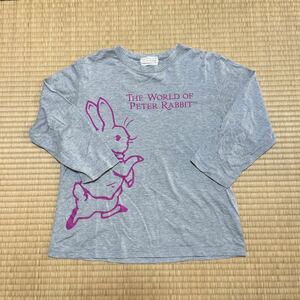 ピーターラビット　Tシャツ 　グレー　Lサイズ　半袖