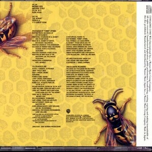 即決・送料無料(2点で)◆イエロージャケッツ◆Yellowjackets◆ラッセル・フェランテ◆ボーナストラック4曲収録(b2171)の画像2