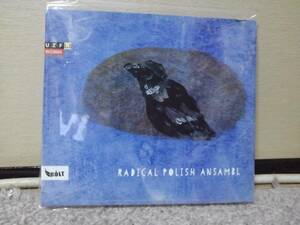 【ポーランド：現代音楽系】Radical Polish Ansambl 