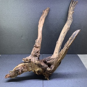  nature driftwood wood surge 1 point thing W50×H47cm No.018 large natural ak pulling out ending layout aquarium 