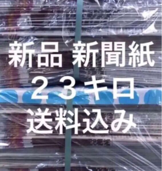 新聞紙　23キロ　ペットトイレ　