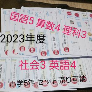 小学校 5年生 カラーテスト 国語 算数 理科 社会 英語 未記入