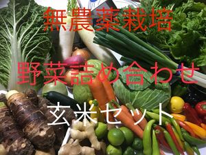 無農薬栽培◎玄米とお野菜詰め合わせ◎新玉ねぎ◎ほうれん草◎人参◎こどもピーマン☆ピー太郎◎里芋◎大根◎タラの芽◎ヨモギ◎即発送！