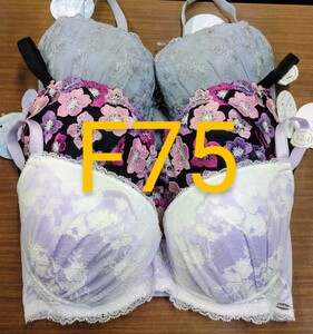 ブラジャー　F75　 3枚　セット