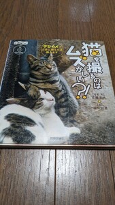 猫を撮るのはムズかしい？　CD未開封