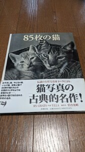 85枚の猫　イーラ