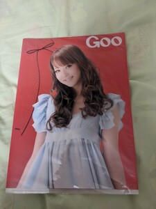 佐々木希♪Gooファイル♪未使用品♪レア