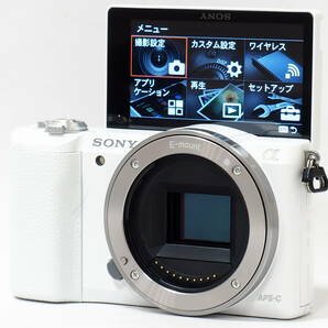 SONY α 5100 ILCE-5100 White Body E Mount ミラーレス一眼 ホワイト 2430万画素 APS-C CMOSセンサ- チルトモニター NP-FW50 AC-UB10 格安の画像10