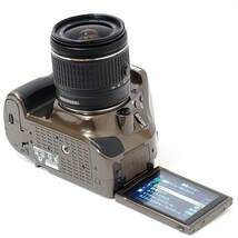 Nikon D5200 Bronze AF-P DX NIKKOR 18-55mm F3.5-5.6 G VR APS-C DX Format 2410万画素 ブロンズカラーで個性が光る EN-EL14 MH-24_画像7