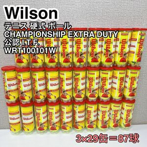 Wison テニス 硬式ボール CHAMPIONSHIP EXTRA DUTY