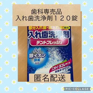 義歯洗浄剤　デントフレッシュ 部分入れ歯用 入れ歯洗浄剤