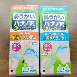 ハナノアシャワー 鼻うがい 初めてでも簡単タイプ (鼻洗浄器+専用洗浄液500ｍｌ) 2個セット