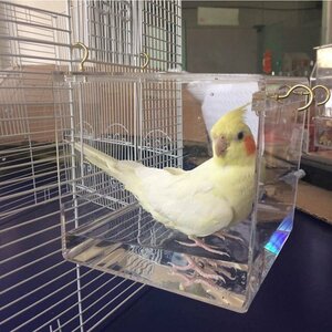 OHJ0013☆ほとんどの鳥かごペットオウムセキセイインコオカメインコケージ水シャワーの吊りフック付き鳥浴槽ケージ鳥風呂ハウス