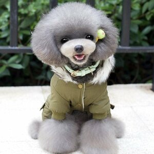 Модная ♪ Pet Dog Winter Winter Green Kojato Cumpetto Clothing Colding Jacket