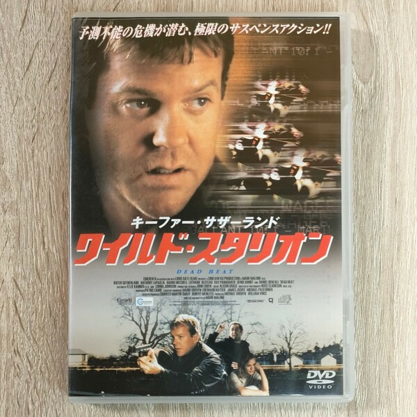 「ワイルド・スタリオン('01米)」DVD〈吹替/字幕〉キーファー・サザーランド　アンソニー・ラパリア　マーク・マローン【送料無料・即決】