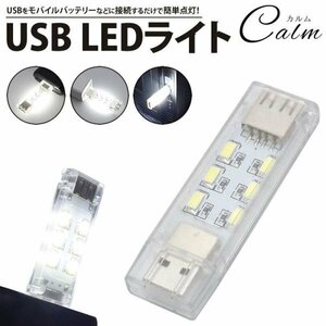 LED ライト 12灯 USB 両面発光 連結接続 コンパクト USB給電 小型 軽量 簡単点灯 携帯 非常時