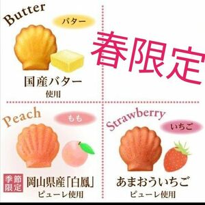 マドレーヌ お菓子詰め合わせ コージーコーナー