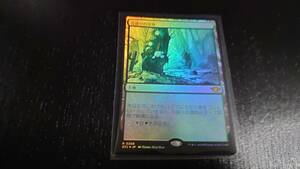 MTG OTJ 花盛りの湿地 foil サンダー・ジャンクションの無法者