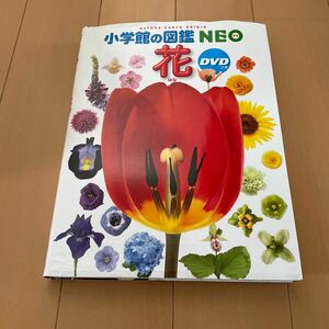 図鑑 NEO 花 DVD付 小学館の図鑑