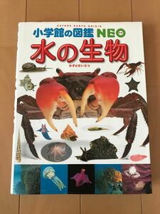 小学館の図鑑ＮＥＯ　水の生物 