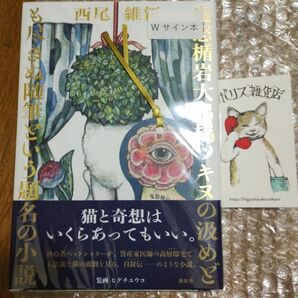 Wサイン本 鬼怒楯岩大吊橋ツキヌの汲めども尽きぬ随筆という題名の小説 西尾維新 ヒグチユウコ