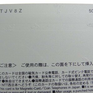 レアテレカ!! 未使用 テレカ 50度数×1枚 克・亜樹 ふたりエッチ ヤングアニマル 24巻表紙 KATSU-AKI YOUNG ANIMAL ⑦☆Pの画像6