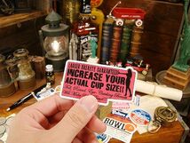 アメリカン　アドバタイジング　ステッカー　Lサイズ　（No.56/INCREASE YOUR ACTUAL CUP SIZE）　アメリカン雑貨　アメリカ雑貨　シール_画像2