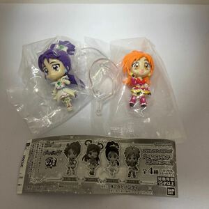 プリキュアオールスターズ カプセルフィギュアコレクション　キュアブルーム　キュアイーグレット　/M