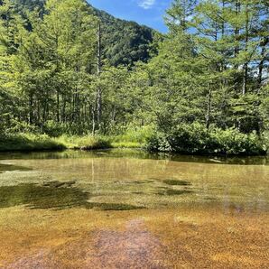 【即決】自然、風景画像の写真 当方撮影写真 相互評価 24時間以内に対応 1円の画像1