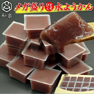 メガ盛り とろける水ようかん こしあん 50g×15個 ご自宅用 一口サイズ ミニようかん 羊羹 和楽