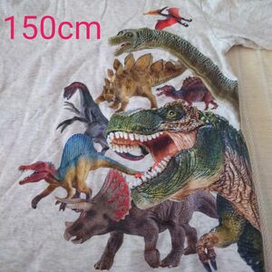シュライヒ 恐竜 tシャツ 150cm 長袖 長袖シャツ