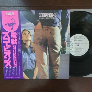 PROMO sample 見本盤 ScorpionsAnimal Magnetism 電獣（アニマル・マグネティズム analog スコーピオンズ record レコード LP アナログ 