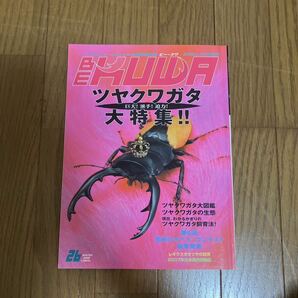 送料無料美品！BE KUWA ビークワ No.26■ツヤクワガタ大特集｜ツヤクワガタの大図鑑・生態 ビークワNo.28 世界のヒラタクワガタ大特集！ の画像3