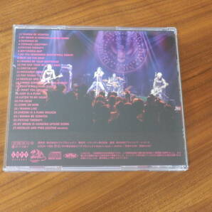 DUMB CD「THE TRIBUTE TO RAMONES」ラモーンズ チバユウスケ The Birthday THEE MICHELLE GUN ELEPHANT ミッシェルガンエレファント 帯ありの画像3