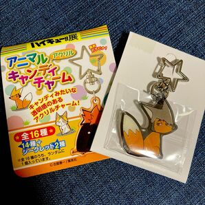 ハイキュー!! アニマルアクリルキャンディチャーム 原画展東京 宮治 稲荷崎高校 アクキー