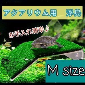 アクアリウム M 浮き島 水槽 桟橋 日向ぼっこ台 吸盤 爬虫類 人工芝 亀カメ